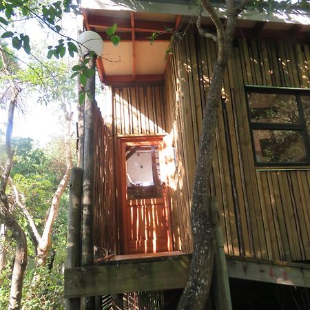 Waterbessiebos Cottage Tzaneen Zewnętrze zdjęcie