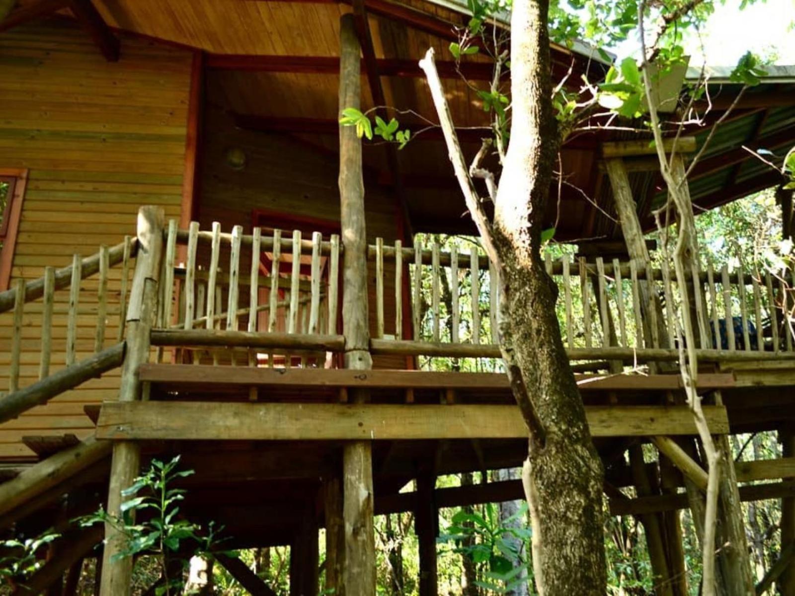 Waterbessiebos Cottage Tzaneen Zewnętrze zdjęcie